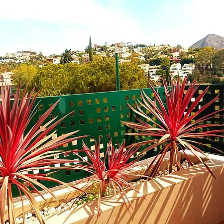 Flamencos Del Cerrado Apartment Malaga